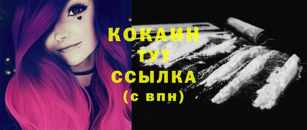 ГАЛЛЮЦИНОГЕННЫЕ ГРИБЫ Бородино