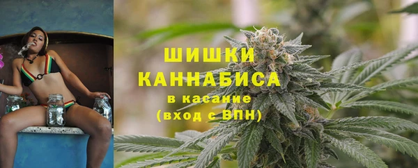 ГАЛЛЮЦИНОГЕННЫЕ ГРИБЫ Бородино
