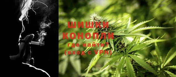 ГАЛЛЮЦИНОГЕННЫЕ ГРИБЫ Бородино
